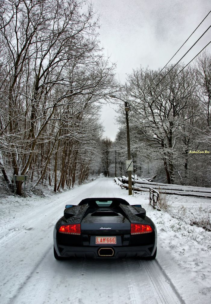 snow exotic cars