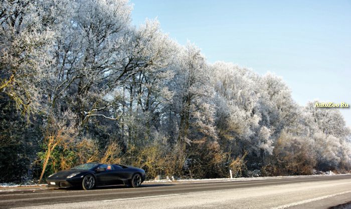 snow exotic cars