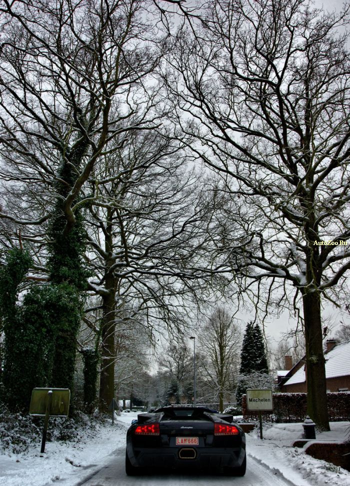 snow exotic cars