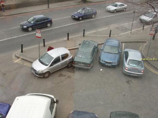 stupid parking