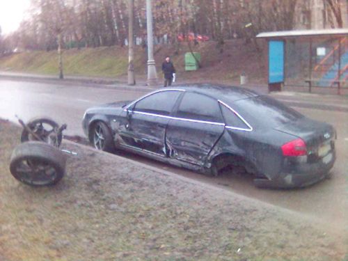 autozoo_5.jpg