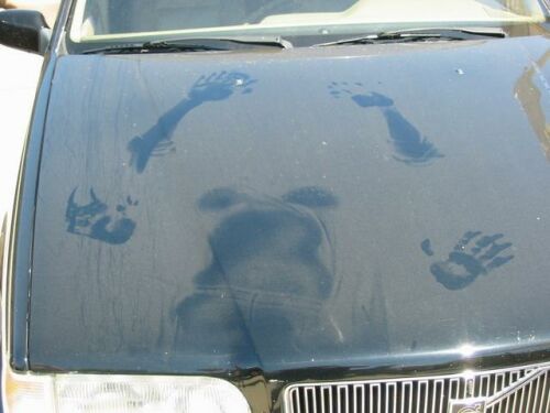 unusual_cars_23.jpg