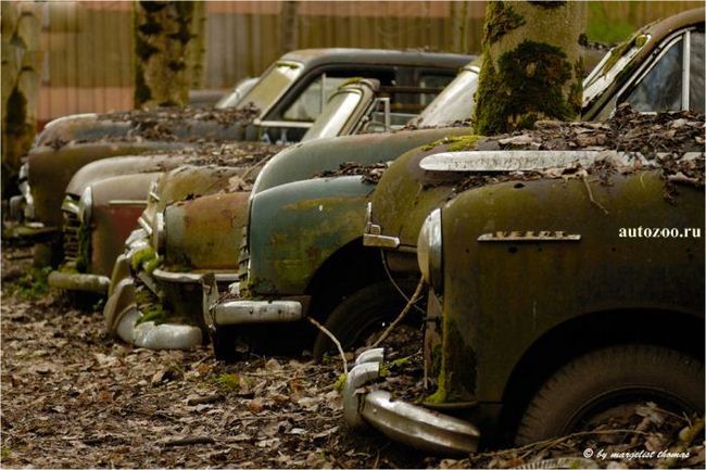 кладбище ретро автомобилей в Швейцарии